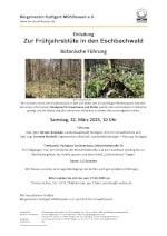 Zur Frühjahrsblüte in den Eschbachwald